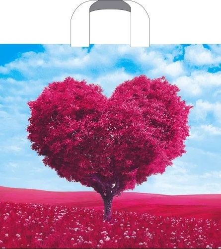 пакет петл.38х34 В облаках *