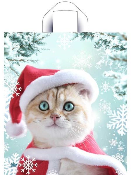 пакет петл. 43,5х38 Пушистое ожидание НГ