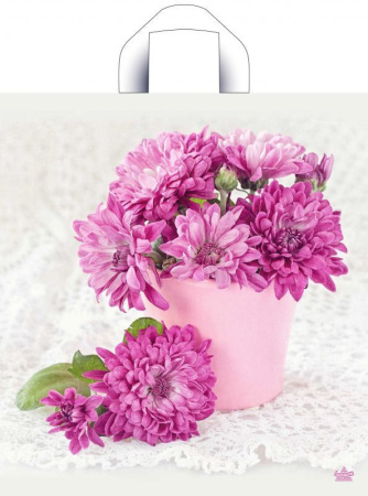 пакет петл.36х40 Хризантемы ШК *