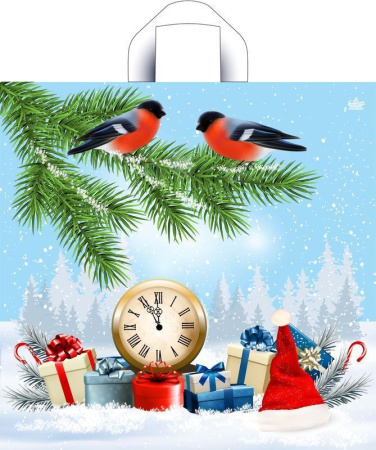 пакет петл. 42х44 Пернатые друзья НГ