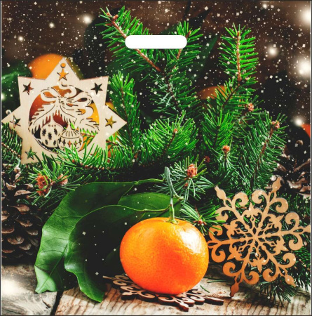 пакеты выр. 45х45 Мандарин НГ 2А ШК